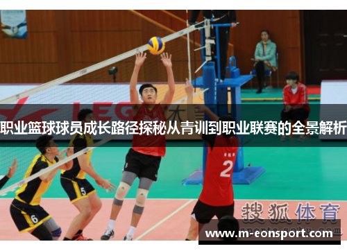 职业篮球球员成长路径探秘从青训到职业联赛的全景解析