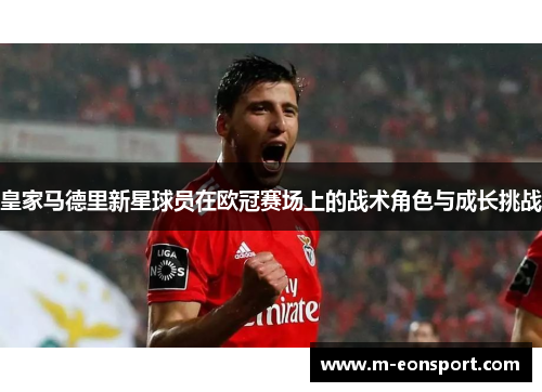 皇家马德里新星球员在欧冠赛场上的战术角色与成长挑战