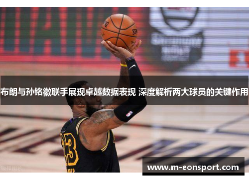 布朗与孙铭徽联手展现卓越数据表现 深度解析两大球员的关键作用