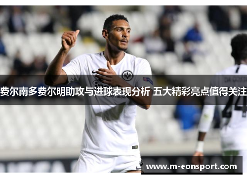 费尔南多费尔明助攻与进球表现分析 五大精彩亮点值得关注