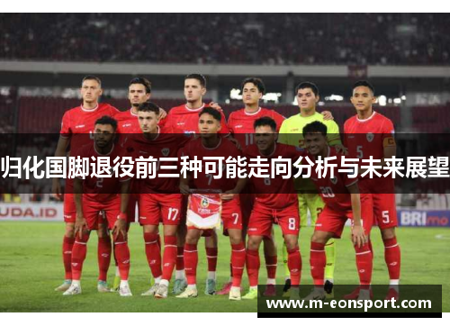 归化国脚退役前三种可能走向分析与未来展望