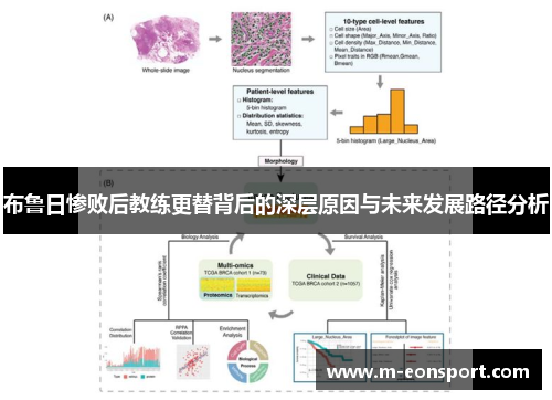 布鲁日惨败后教练更替背后的深层原因与未来发展路径分析