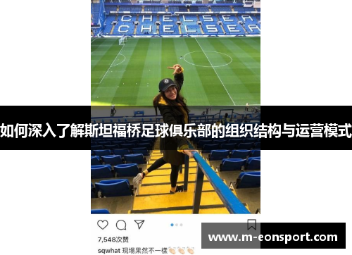 如何深入了解斯坦福桥足球俱乐部的组织结构与运营模式