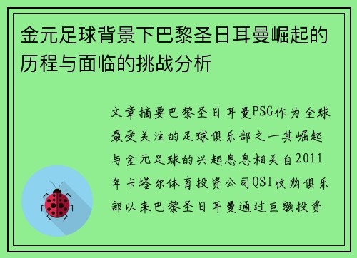 金元足球背景下巴黎圣日耳曼崛起的历程与面临的挑战分析